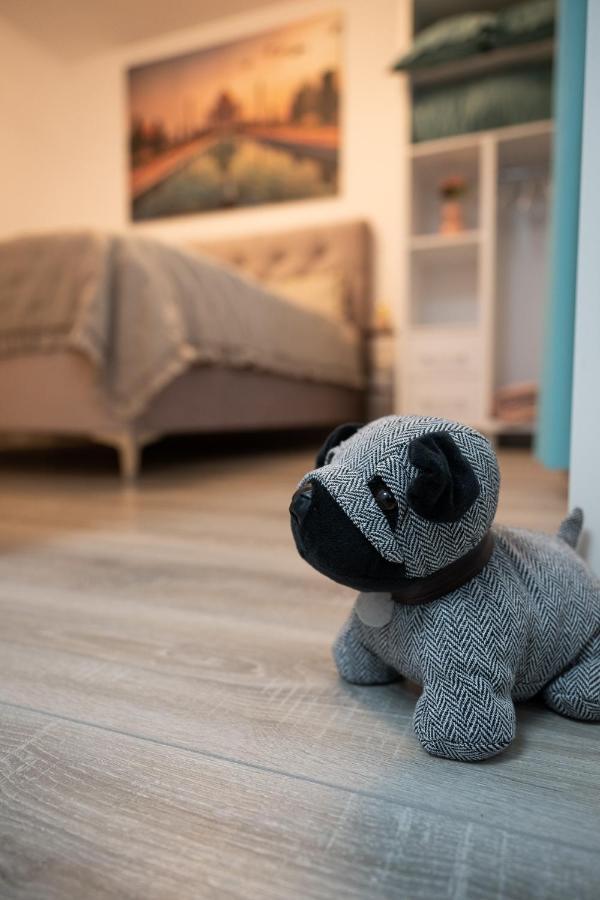 L&R Boutique Apartment Otelu Rosu Zewnętrze zdjęcie